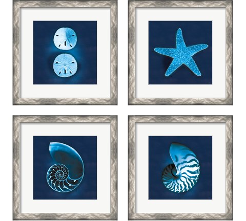 Cyanotype Sea 4 Piece Framed Art Print Set by Sue Schlabach
