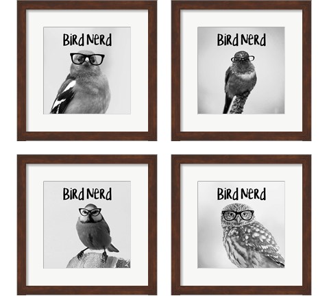 Bird Nerd 4 Piece Framed Art Print Set by Color Me Happy