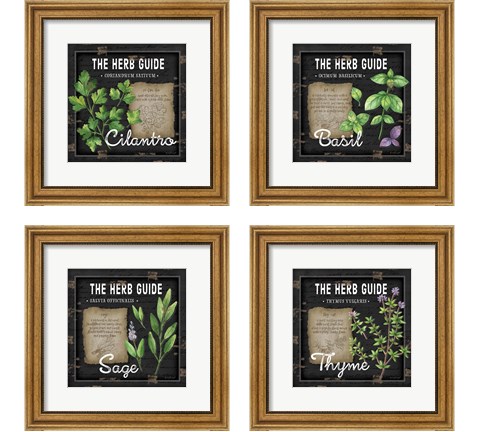 Herb Guide 4 Piece Framed Art Print Set by Jennifer Pugh