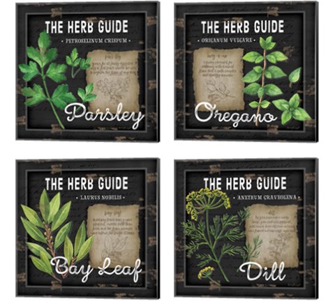 Herb Guide 4 Piece Canvas Print Set by Jennifer Pugh