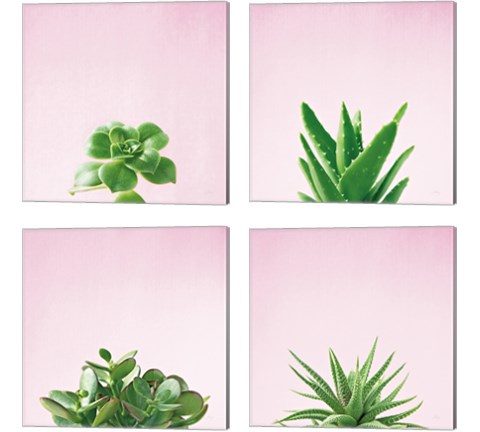 Succulent Simplicity on Pink 4 Piece Canvas Print Set by Felicity Bradley