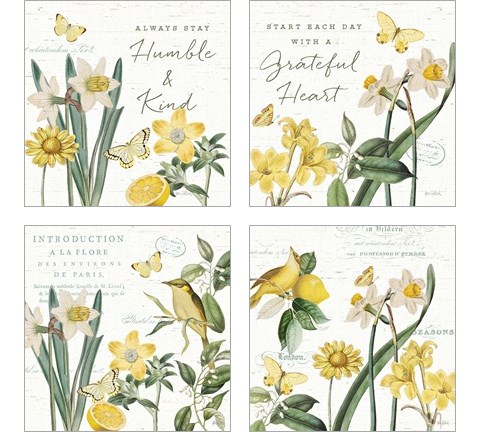 Citron Curiosities 4 Piece Art Print Set by Katie Pertiet