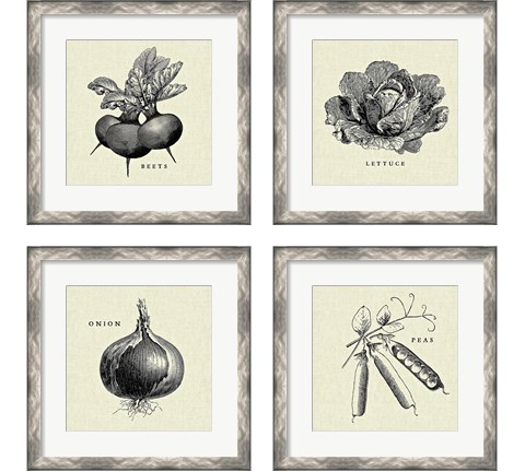Linen Vegetable 4 Piece Framed Art Print Set by Studio Mousseau