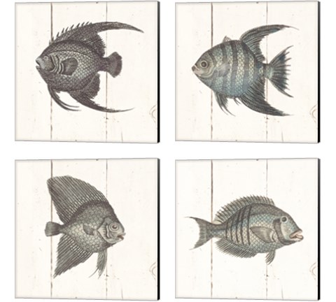 Fish Sketches Shiplap4 Piece Canvas Print Set by Wild Apple Portfolio