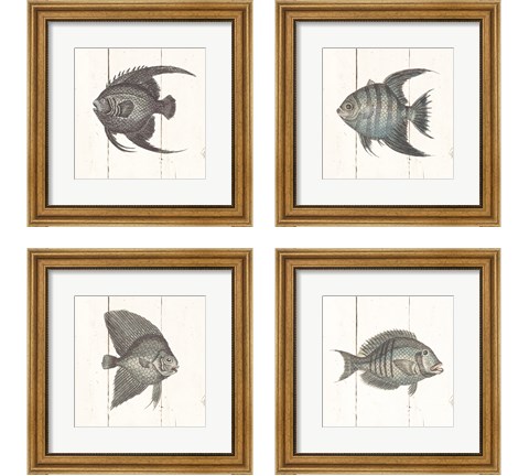 Fish Sketches Shiplap4 Piece Framed Art Print Set by Wild Apple Portfolio