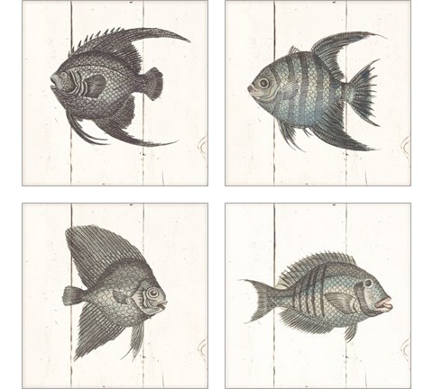 Fish Sketches Shiplap4 Piece Art Print Set by Wild Apple Portfolio