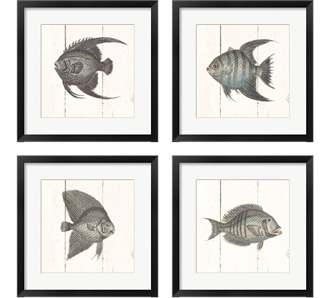 Fish Sketches Shiplap4 Piece Framed Art Print Set by Wild Apple Portfolio
