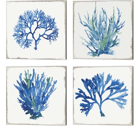 Blue and Green Coral  4 Piece Canvas Print Set by Aimee Wilson