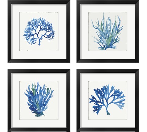 Blue and Green Coral  4 Piece Framed Art Print Set by Aimee Wilson