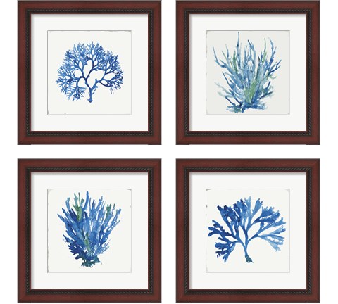Blue and Green Coral  4 Piece Framed Art Print Set by Aimee Wilson