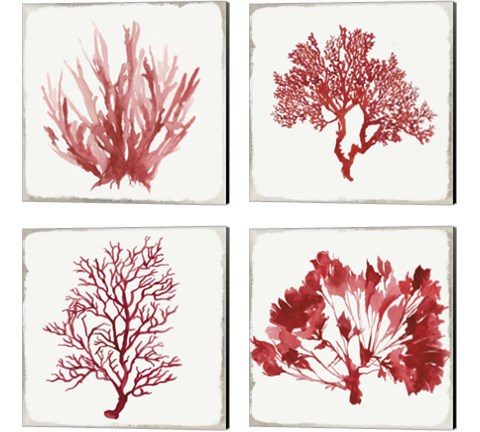 Red Coral 4 Piece Canvas Print Set by Aimee Wilson