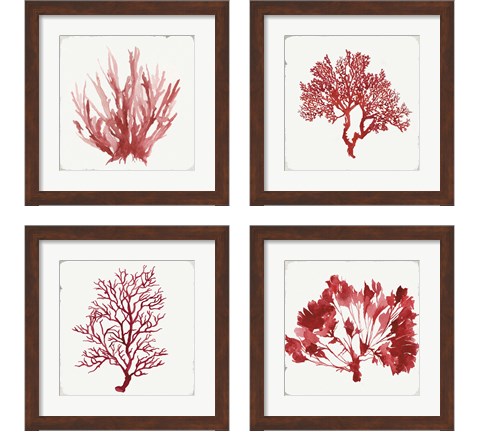 Red Coral 4 Piece Framed Art Print Set by Aimee Wilson