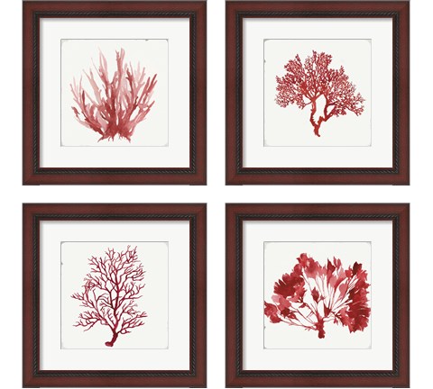 Red Coral 4 Piece Framed Art Print Set by Aimee Wilson