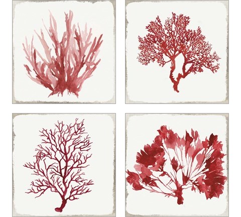 Red Coral 4 Piece Art Print Set by Aimee Wilson