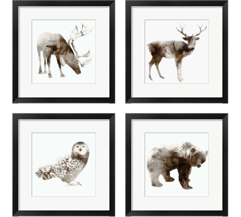 Wildlife 4 Piece Framed Art Print Set by Edward Selkirk