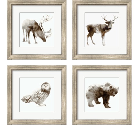 Wildlife 4 Piece Framed Art Print Set by Edward Selkirk