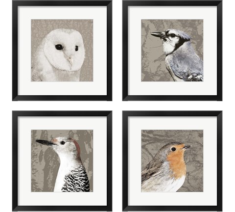 Feathered  4 Piece Framed Art Print Set by Posters International Studio