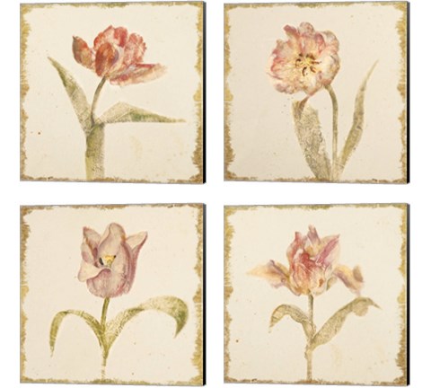 Vintage Tulip 4 Piece Canvas Print Set by Cheri Blum