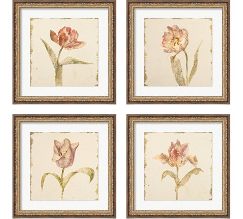 Vintage Tulip 4 Piece Framed Art Print Set by Cheri Blum