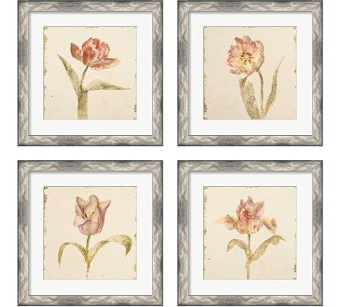 Vintage Tulip 4 Piece Framed Art Print Set by Cheri Blum