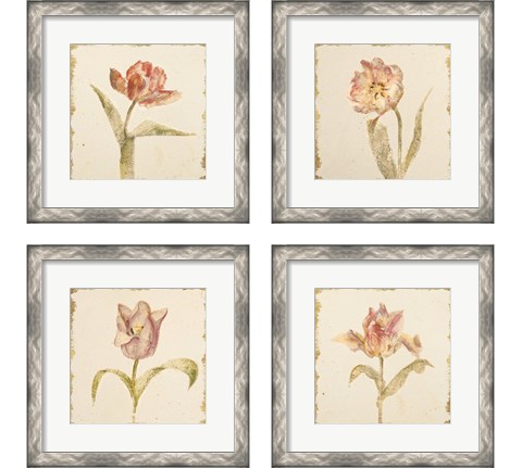 Vintage Tulip 4 Piece Framed Art Print Set by Cheri Blum