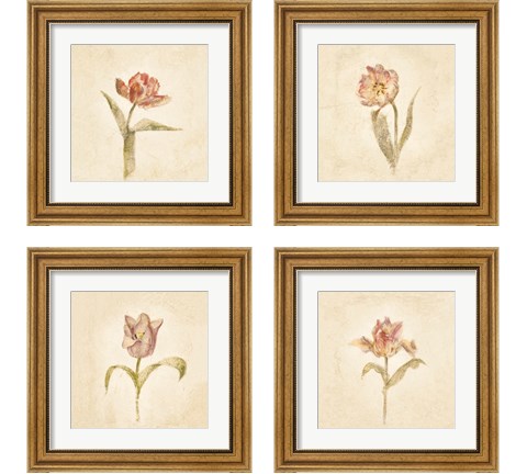 Tulip on White 4 Piece Framed Art Print Set by Cheri Blum