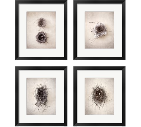 Nest 4 Piece Framed Art Print Set by Debra Van Swearingen