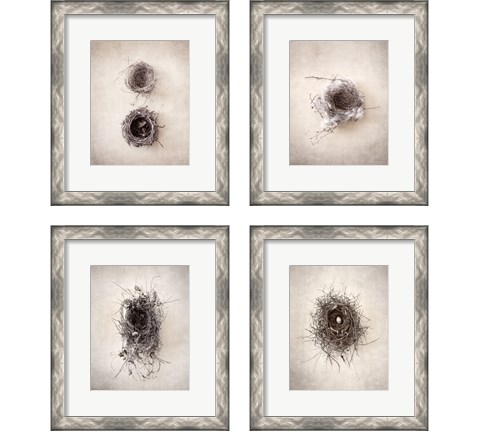 Nest 4 Piece Framed Art Print Set by Debra Van Swearingen