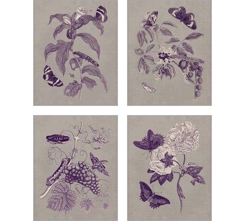 Nature Study in Plum & Taupe 4 Piece Art Print Set by Maria Sibylla Merian