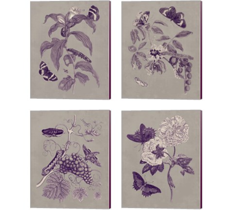 Nature Study in Plum & Taupe 4 Piece Canvas Print Set by Maria Sibylla Merian