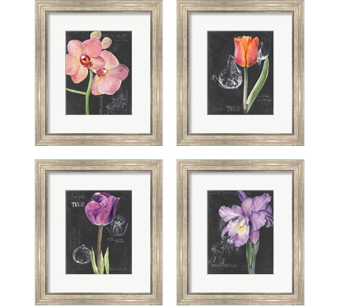 Chalkboard Flower 4 Piece Framed Art Print Set by Jennifer Parker