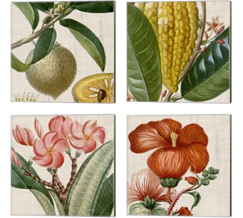 Cropped Turpin Tropicals 4 Piece Canvas Print Set by Vision Studio