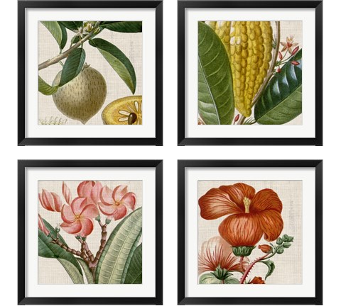 Cropped Turpin Tropicals 4 Piece Framed Art Print Set by Vision Studio