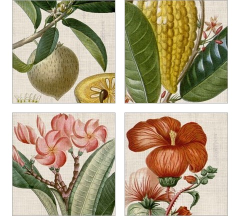 Cropped Turpin Tropicals 4 Piece Art Print Set by Vision Studio
