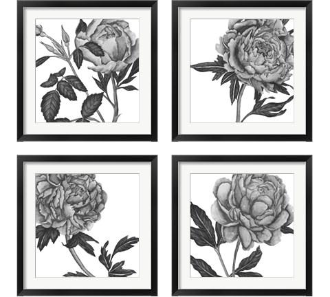 Flowers in Grey 4 Piece Framed Art Print Set by Melissa Wang