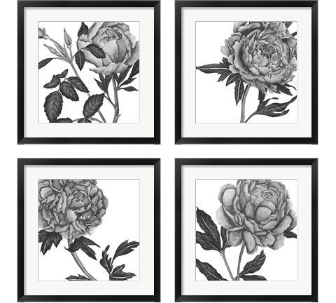 Flowers in Grey 4 Piece Framed Art Print Set by Melissa Wang