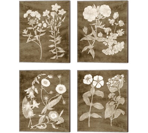 Botanical in Taupe 4 Piece Canvas Print Set by Vision Studio