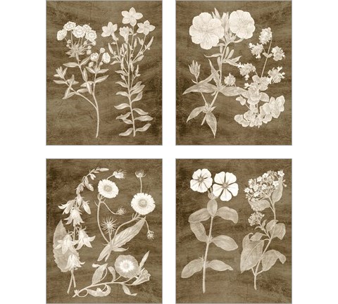 Botanical in Taupe 4 Piece Art Print Set by Vision Studio