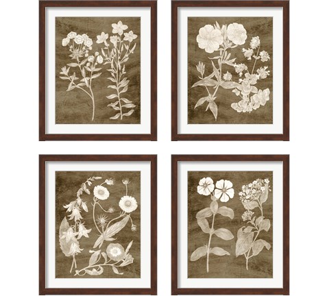 Botanical in Taupe 4 Piece Framed Art Print Set by Vision Studio