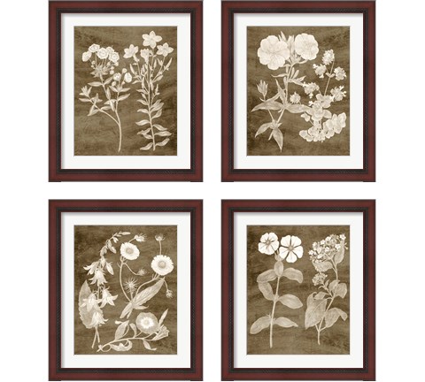 Botanical in Taupe 4 Piece Framed Art Print Set by Vision Studio