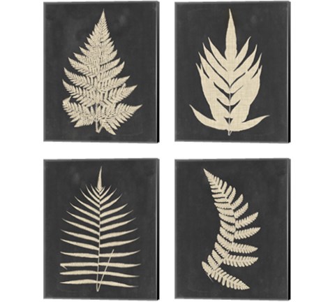 Linen Fern 4 Piece Canvas Print Set by Vision Studio