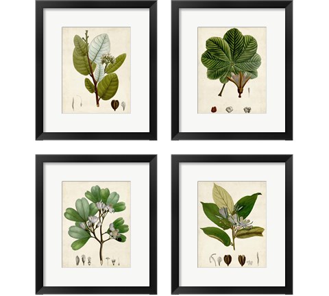 Verdant Foliage 4 Piece Framed Art Print Set by Vision Studio