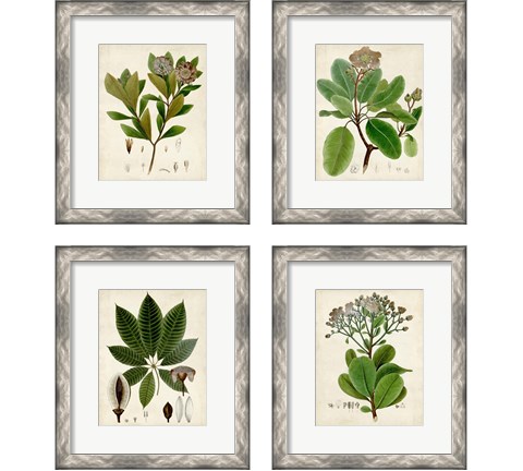 Verdant Foliage 4 Piece Framed Art Print Set by Vision Studio