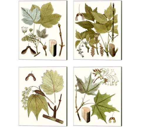 Maple Leaves 4 Piece Canvas Print Set
