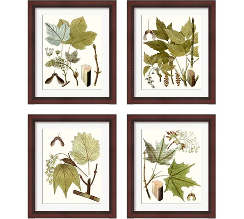 Maple Leaves 4 Piece Framed Art Print Set