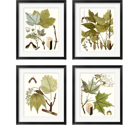 Maple Leaves 4 Piece Framed Art Print Set