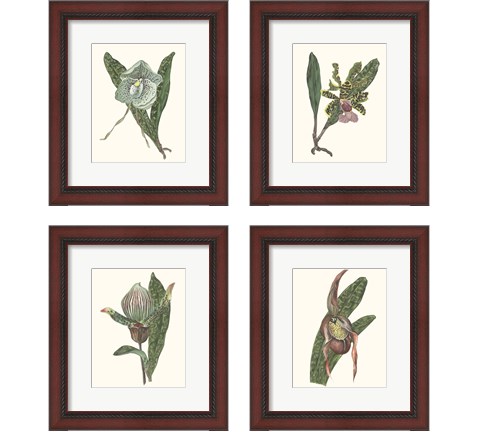 Orchid Display 4 Piece Framed Art Print Set by Melissa Wang