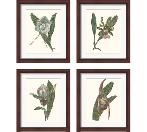 Orchid Display 4 Piece Framed Art Print Set by Melissa Wang