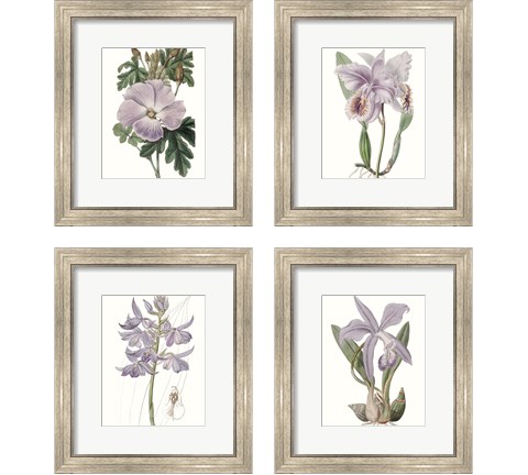 Lavender Beauties 4 Piece Framed Art Print Set by Edwards