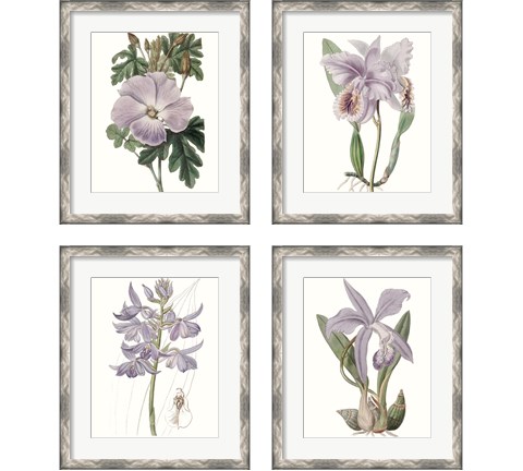 Lavender Beauties 4 Piece Framed Art Print Set by Edwards